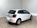 Volkswagen Polo Polo 1.2 70 CV 5p. Comfortline Bianco - thumbnail 4