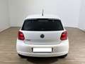 Volkswagen Polo Polo 1.2 70 CV 5p. Comfortline Bianco - thumbnail 5