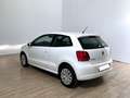 Volkswagen Polo Polo 1.2 70 CV 5p. Comfortline Bianco - thumbnail 6
