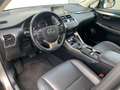 Lexus NX 300h AWD Business Line Fabrieksgarantie tot 2027 Gris - thumbnail 5