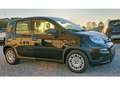 Fiat Panda 1.0 firefly hybrid s Nero - thumbnail 6