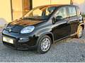 Fiat Panda 1.0 firefly hybrid s Nero - thumbnail 2