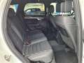 Volkswagen Touareg 3.0TDI R-Line 4Motion LED Blanc - thumbnail 17