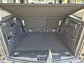 Ford Tourneo Courier 1.0 EcoBoost 125PS Active Teil-Leder Sitzheizun... Grün - thumbnail 10