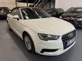 Audi A3 2.0 TDI Ambiente DSG*Navi*Leder*LED*Sitzheiz.*PDC Weiß - thumbnail 3