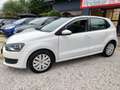 Volkswagen Polo Polo 1.2 TDI DPF 5 p. UNIPRO TETTO PANORAMICO KM 1 Weiß - thumbnail 3