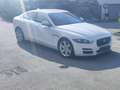 Jaguar XE XE 20d Prestige AWD Aut. Prestige - thumbnail 5
