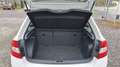 Skoda Rapid/Spaceback Spaceback Active / Inkl. Garantie Weiß - thumbnail 9