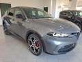 Alfa Romeo Tonale 1.6 diesel 130 CV TCT6 Veloce Grigio - thumbnail 1