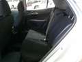 Kia Sportage Sportage 1.6 TGDi MHEV Business Argento - thumbnail 13