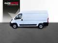 Fiat Ducato 2.2 MJET 140CV 35 L2 H2 Blanco - thumbnail 4