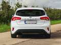 Ford Focus Focus 1.0 EcoBoost ST-Line Wit - thumbnail 7