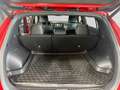 Kia Sportage 2.0 CRDi GT Line 4WD Rot - thumbnail 14
