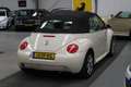 Volkswagen New Beetle Cabriolet DAK DEFECT 1.4 Highline Airco, Lederen, - thumbnail 4