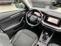 Skoda Octavia Combi 2,0 TDI Ambition | AHK Silber - thumbnail 12