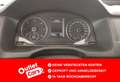 Volkswagen Caddy VW Caddy Maxi T6 Kastenwagen Entry TDI Oranj - thumbnail 9