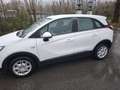 Opel Crossland X 1,2 Innovation mit GARANTIE ZAHNRIEMEN + SERVI NEU - thumbnail 3