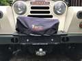 Austin Austin Gibsy PickUp LWB 2.2L Pritsche Blanc - thumbnail 18