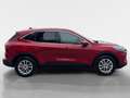Ford Kuga 2,0 EcoBlue Hybrid Titanium X Rot - thumbnail 6