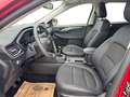 Ford Kuga 2,0 EcoBlue Hybrid Titanium X Rot - thumbnail 9