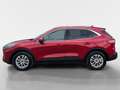 Ford Kuga 2,0 EcoBlue Hybrid Titanium X Rot - thumbnail 2