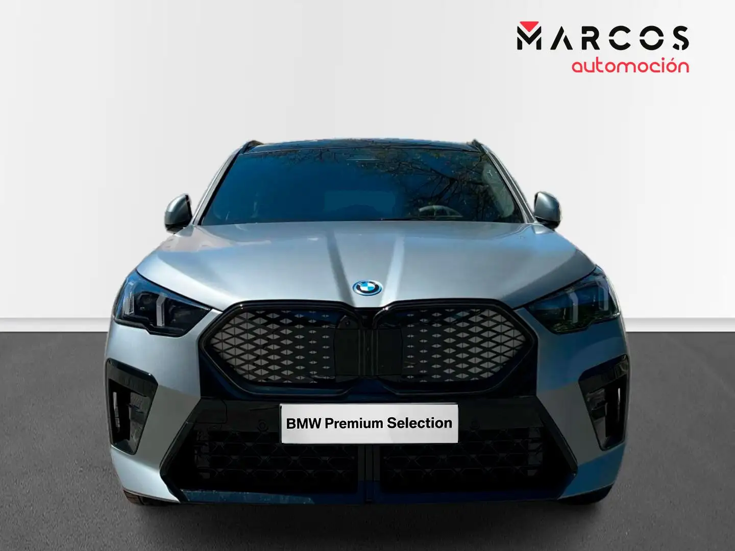 BMW iX2 xDrive30A Grijs - 2