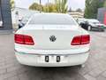 Volkswagen Phaeton V6 TDI 5-Sitzer 4Motion Weiß - thumbnail 6