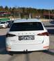 Skoda Octavia Octavia Combi 2,0TDI Style DSG LED VIRTUAL AHV 1.B Weiß - thumbnail 15