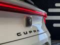 CUPRA Leon 2.0 TSI - 245 ch BV DSG 7  2022 BERLINE 5p Apple Carplay Blanc - thumbnail 25