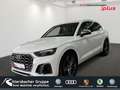 Audi SQ5 Business+ParkenPaket AHK Alb - thumbnail 1