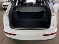 Audi SQ5 Business+ParkenPaket AHK Alb - thumbnail 10