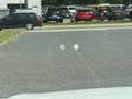 Volvo XC60 Ultra B5 AWD Dark LED 360° Kamera Wit - thumbnail 18