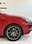 Porsche Cayenne E-Hybrid Leichtbausportpaket Carbon Rot - thumbnail 11