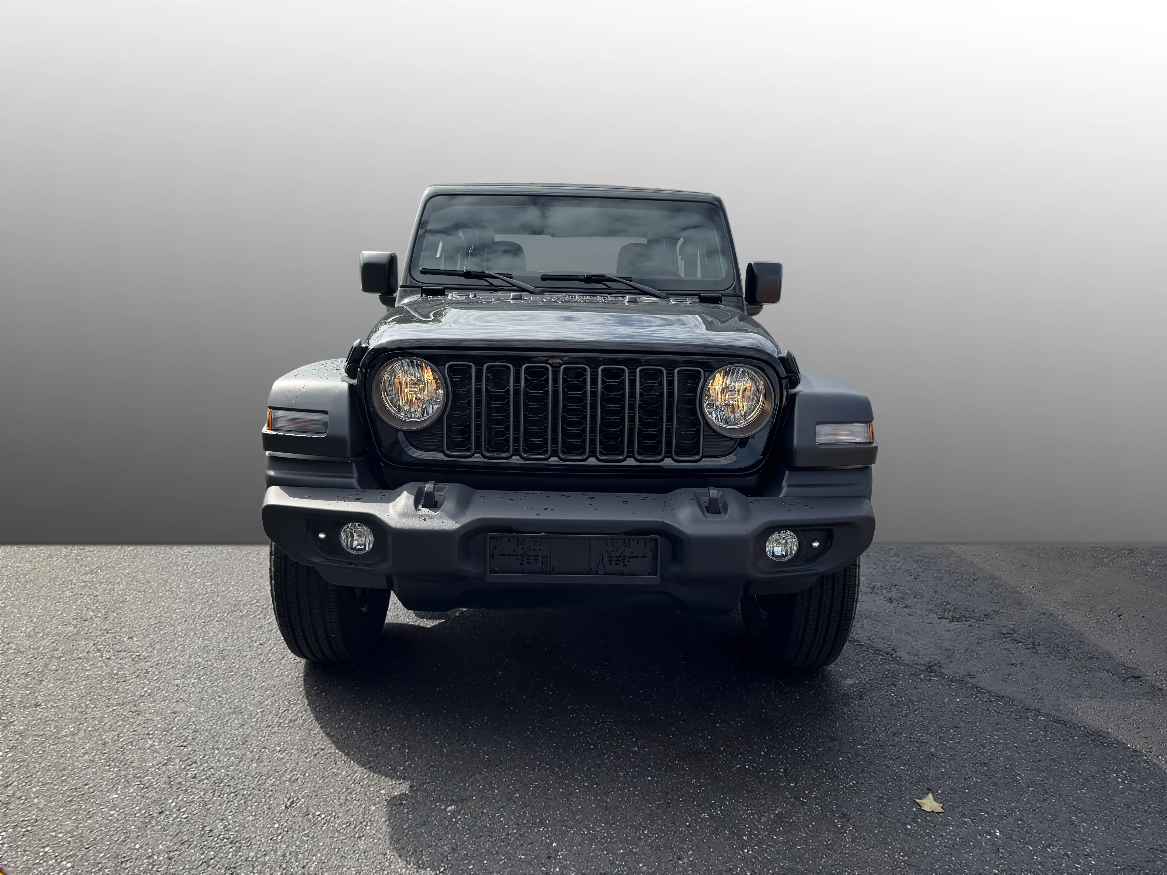 Jeep Wrangler JEEP WRANGLER 2-DOOR SPORT 4X4 — photo 2