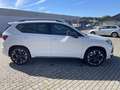 CUPRA Ateca VZ 2.0 TSI DSG ACC eHECK SHZ + LHZ Weiß - thumbnail 5