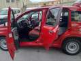 Fiat Panda Panda 1.3 mjt 16v VAN 2 POSTI Rot - thumbnail 8