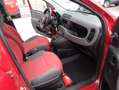 Fiat Panda Panda 1.3 mjt 16v VAN 2 POSTI Rot - thumbnail 12