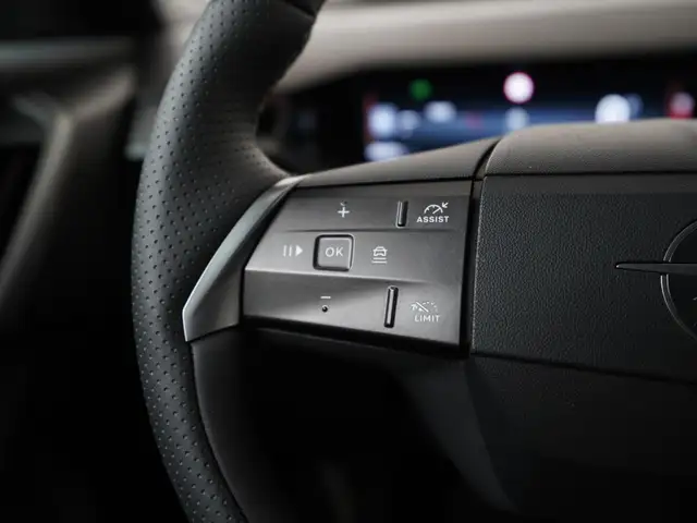 Opel Grandland view 8