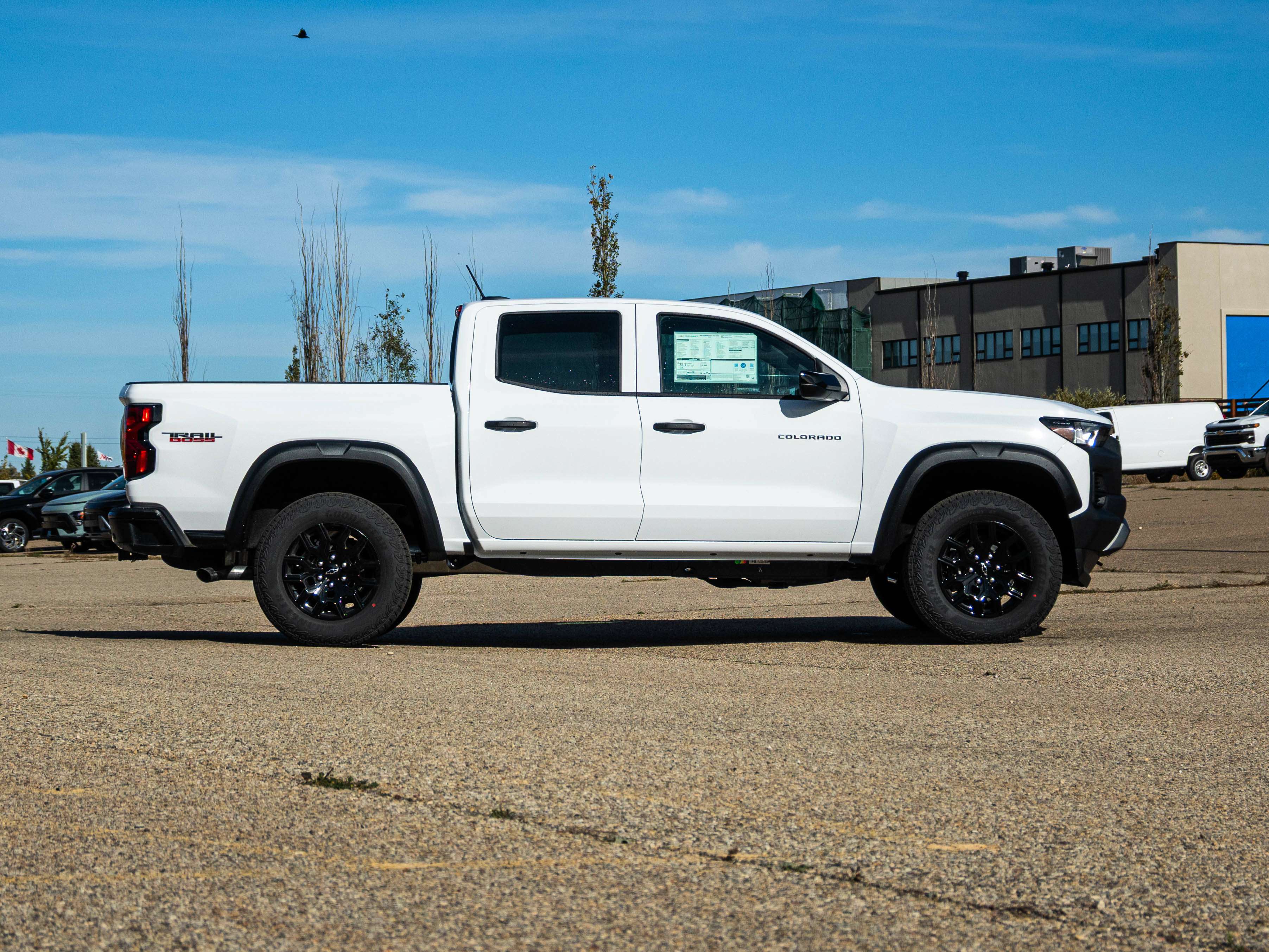 Image 14