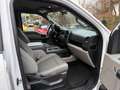 Ford F 150 XL*5.0 V8*MwSt Blanc - thumbnail 11