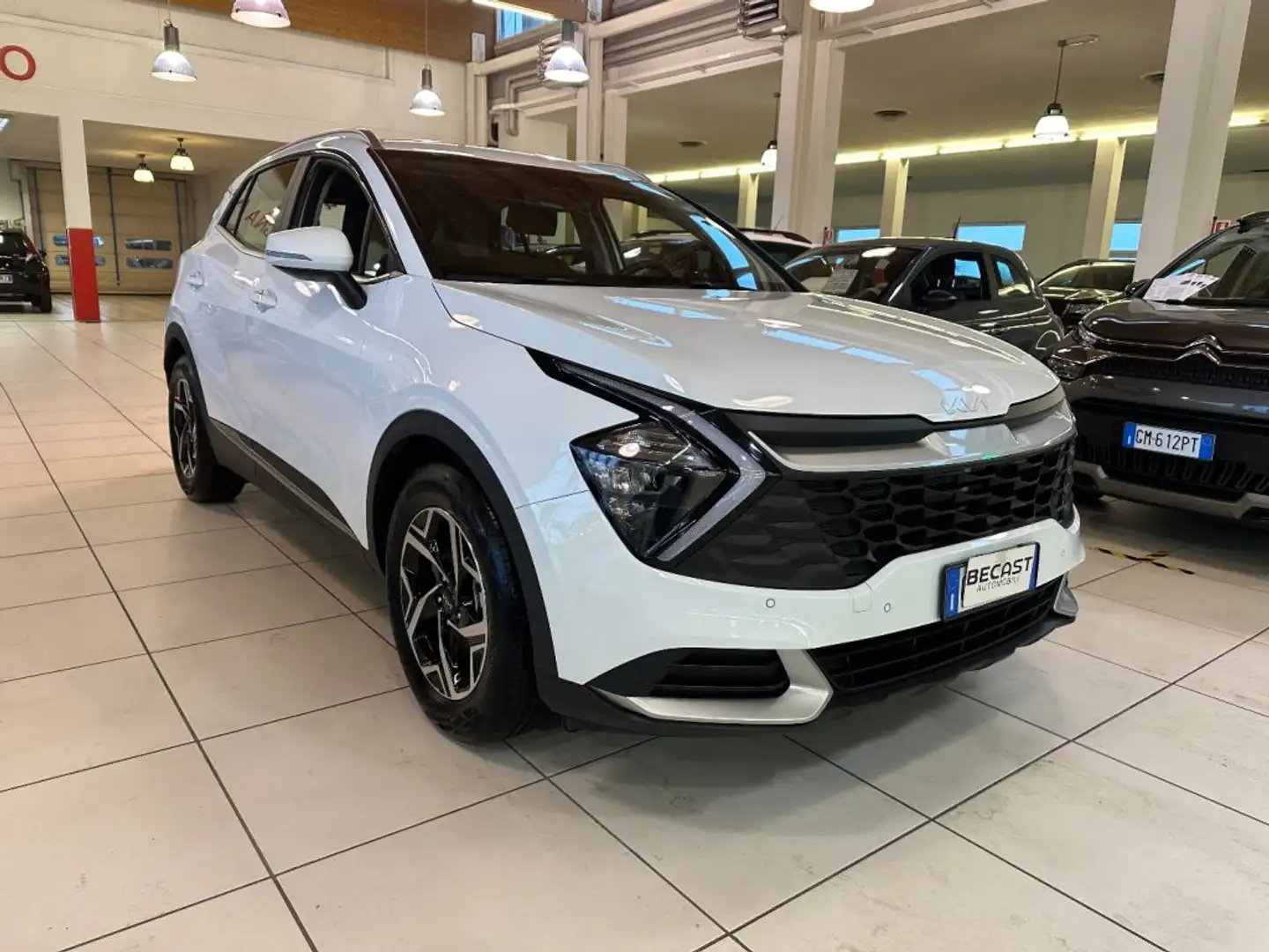 Kia Sportage 1.6 CRDi MHEV DCT Business - PROMO FINANZIAMENTO75 Bianco - 2