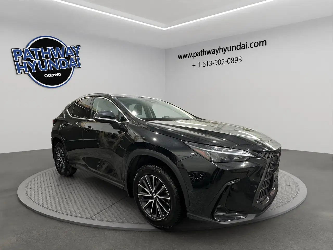 2024 Lexus NX снимка 2024 Lexus NX