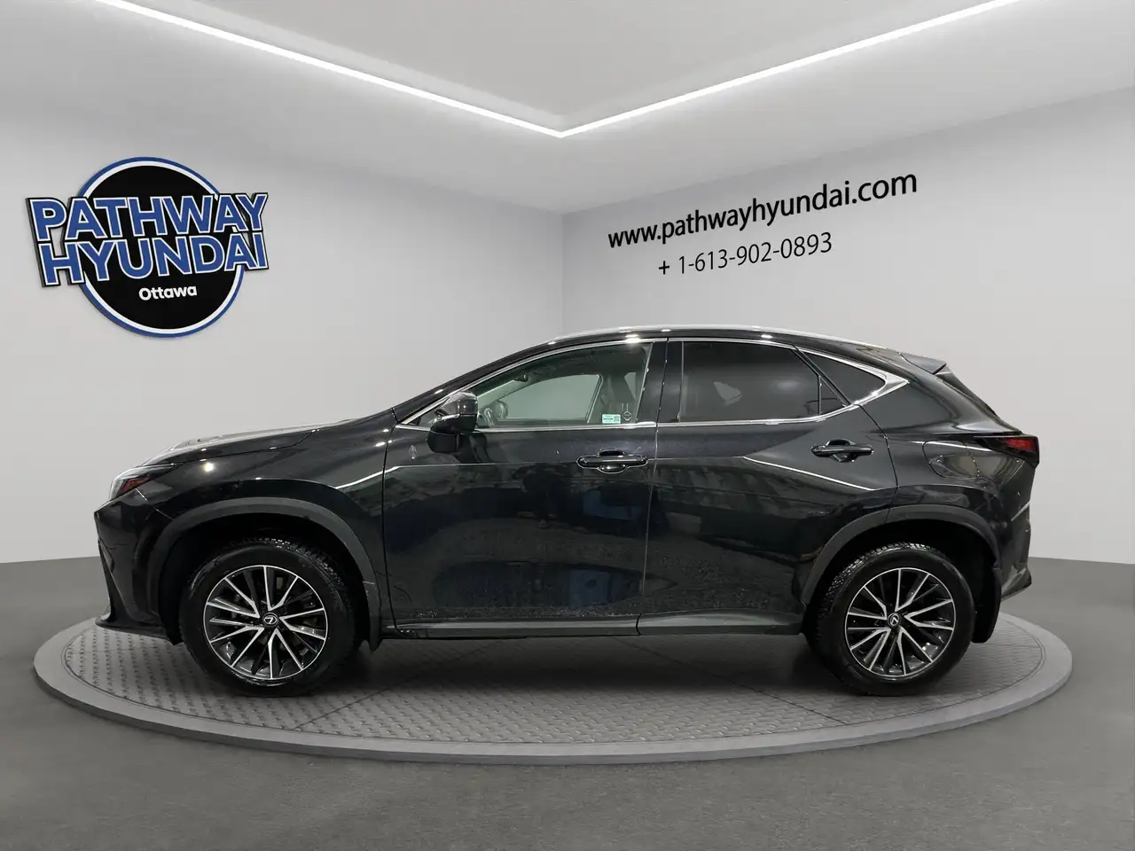 Lexus NX снимка Lexus NX