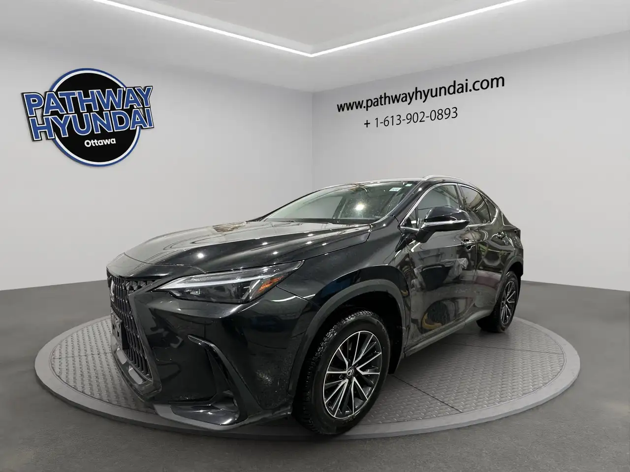 Lexus NX снимка Lexus NX
