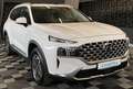 Hyundai SANTA FE Trend Hybrid 2WD, Automatik, LED, Leder Weiß - thumbnail 1