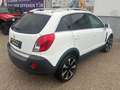 Opel Antara Design Edition 4x4 **Finanzierung** Weiß - thumbnail 6