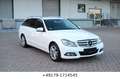 Mercedes-Benz C 220 CDI T Avantgarde Blue Efficiency Edition Weiß - thumbnail 5