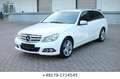 Mercedes-Benz C 220 CDI T Avantgarde Blue Efficiency Edition Weiß - thumbnail 4
