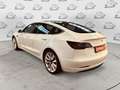 Tesla Model 3 Long Range Dual Motor AWD Bianco - thumbnail 6