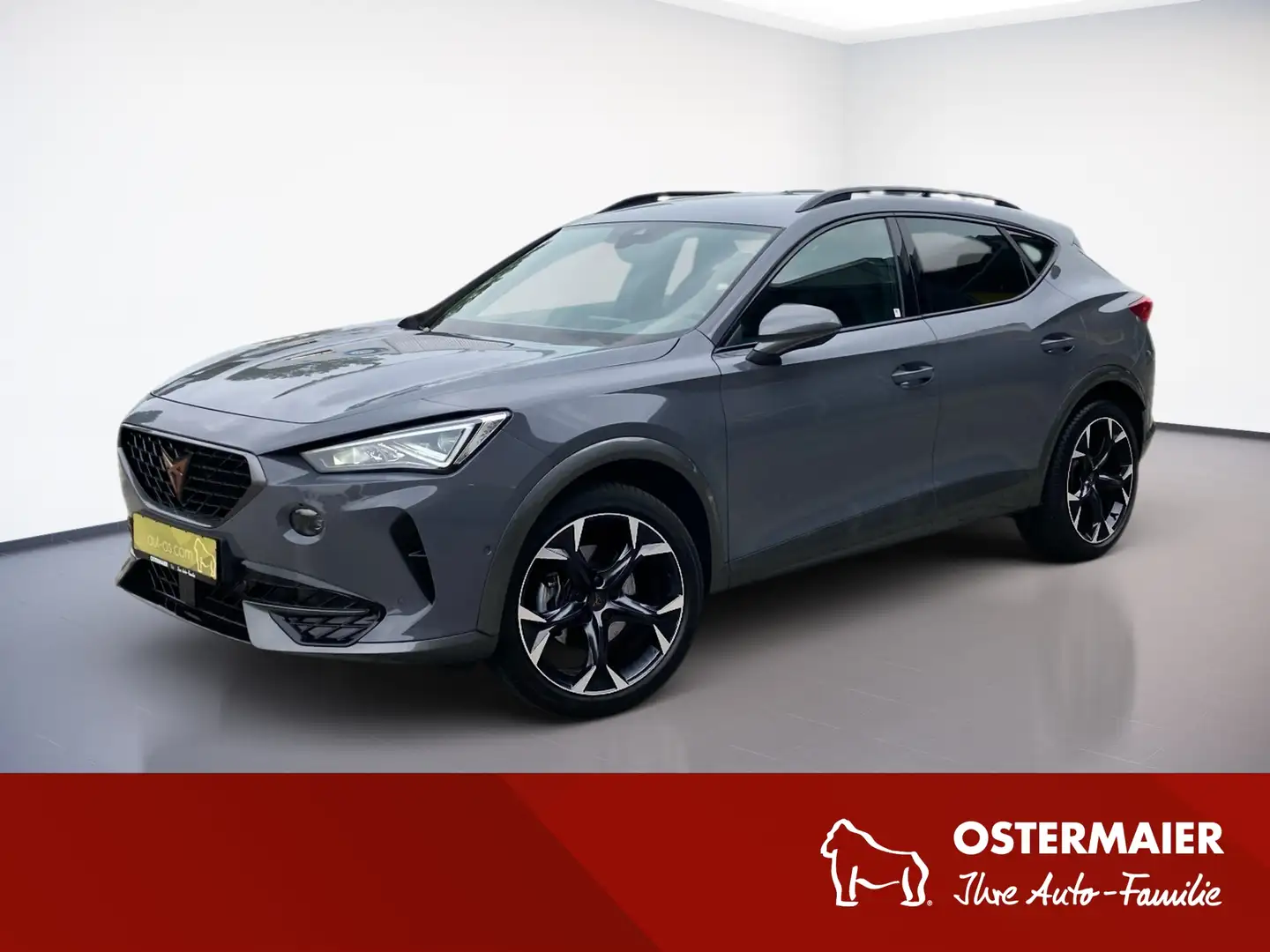 CUPRA Formentor 1.5TSI 150PS DSG LED.AHK.KAMERA.APP-C.SITZHZG Gris - 1